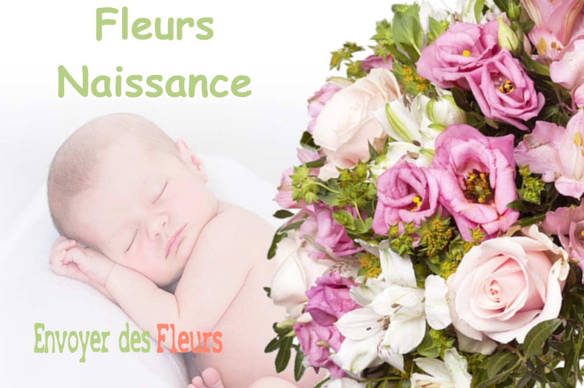 lIVRAISON FLEURS NAISSANCE à GROZON